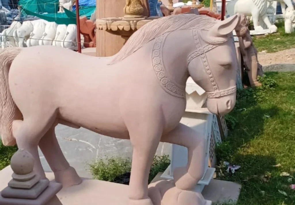 Animal